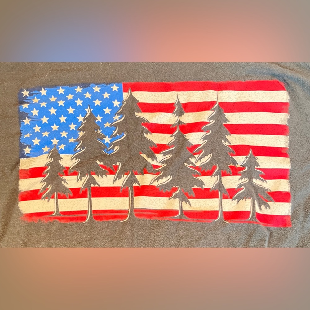 Points North Trading Co Shirt Mens Large Black American Flag Pine Trees Tee.